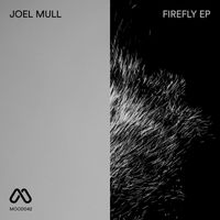 Joel Mull - Firefly
