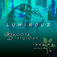 Groove D'Vision - Luminouz