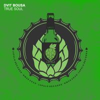 Dvit Bousa - True Soul