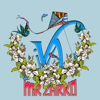 Mr Zarko - Iva