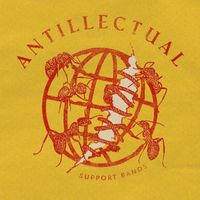 Antillectual - Support Bands