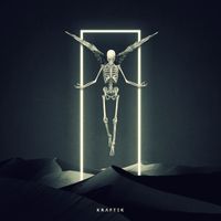 Shadym - Entropy