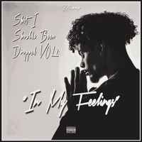 Diverse - Shit I Shoulda Been Dropped Vol 1: "In My Feelings" (Explicit)