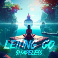 Shapeless - Letting Go