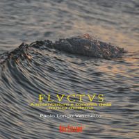 Paolo Longo Vaschetto - Flvctvs (Ambientazioni e sonorità della musica moderna)
