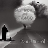 Sound Animal - What Are You Not Thinking