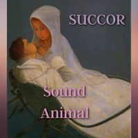 Sound Animal - Succor