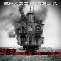 Shacom Delia - The Last Psychedelic Train vol.3