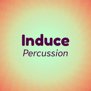 Various Artists - Induce Percussion