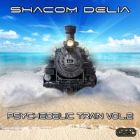 Shacom Delia - Psychedelic Train vol.2