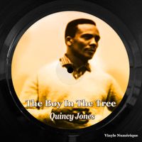 Quincy Jones - The Boy In The Tree (Original Soundtrack)