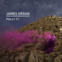 James Organ - Polly 11