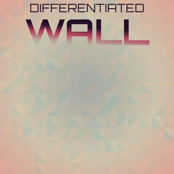 Various Artists - Differentiated Wall