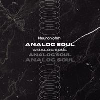 Neuroniohm - Analog Soul