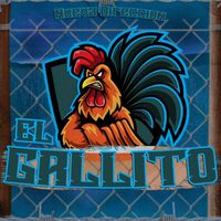 Nueva Direccion - El Gallito