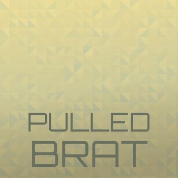 Various Artists - Pulled Brat