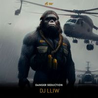 DJ LLIW - Danger Seduction