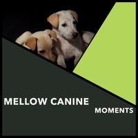 Dog Chill Out Music - Mellow Canine Moments