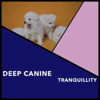 Dog Chill Out Music - Deep Canine Tranquillity
