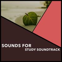 Relaxing Chill Out Music - Sounds For Study Soundtrack