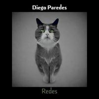 Diego Paredes - Chapter 2 - Redes