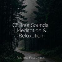 Especialistas de Musica para Dormir, White Noise Relaxation, Ambient Music Therapy - Chillout Sounds | Meditation & Relaxation