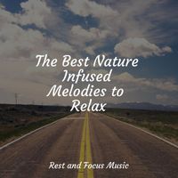 Regengeräusche, Meditation Relaxation Club, Tranquility Spa Universe - The Best Nature Infused Melodies to Relax