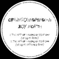 Boy North - The Art of Walking on Your Own / Never Felt This Way