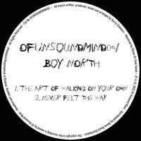 Boy North - The Art of Walking on Your Own / Never Felt This Way