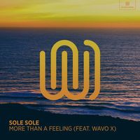 Sole Sole featuring WAVO X - More Than a Feeling