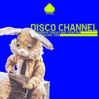 Disco Channel - Various Tracks and Counting, Vol. 2 (Explicit)