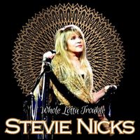 Stevie Nicks - Whole Lotta Trouble