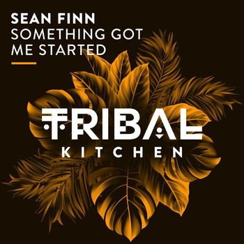 Sean Finn - Something Got Me Started (Extended Mix)