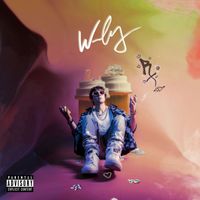 Wesley - PAINKILLER