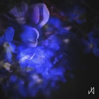 Daigo Hanada - Iris