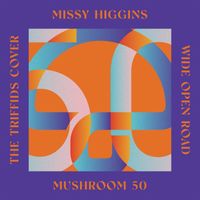 Missy Higgins - Wide Open Road