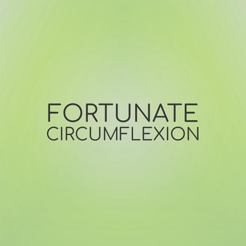 Various Artists - Fortunate Circumflexion
