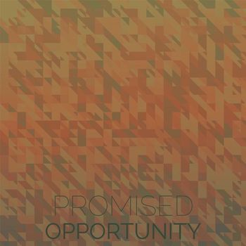 Various Artists - Promised Opportunity