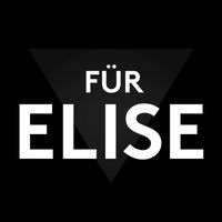 Bodo Wartke - Für Elise (Live bei TV Noir)