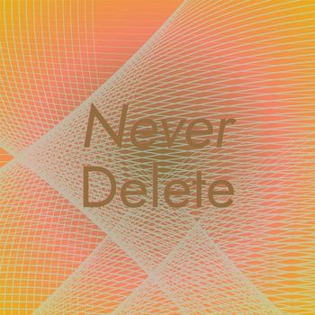 Various Artists - Never Delete