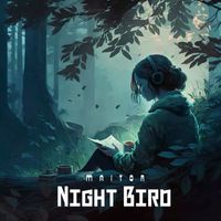 Maitor - Night Bird