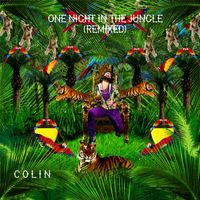 Colin - One Night In The Jungle (Remixed)
