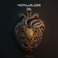 Normalize - Life