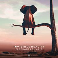 Invisible Reality - Elephants on Acid (Mind Frequency Remix)