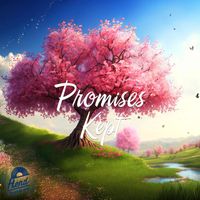 niaolin - Promises Kept