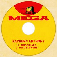 Rayburn Anthony - Binoculars