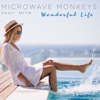 Microwave Monkeys feat. Nita - Wonderful Life