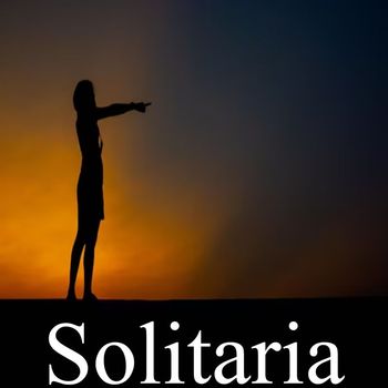 CopyrightLicensing - Solitaria