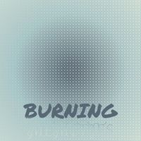 Various Artist - Burning Memories