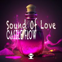 Castle Flow - Sound Of Love